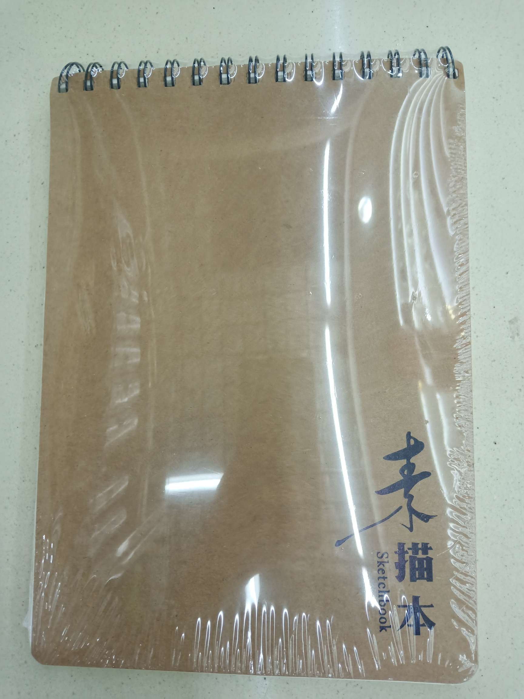 The Sketch book