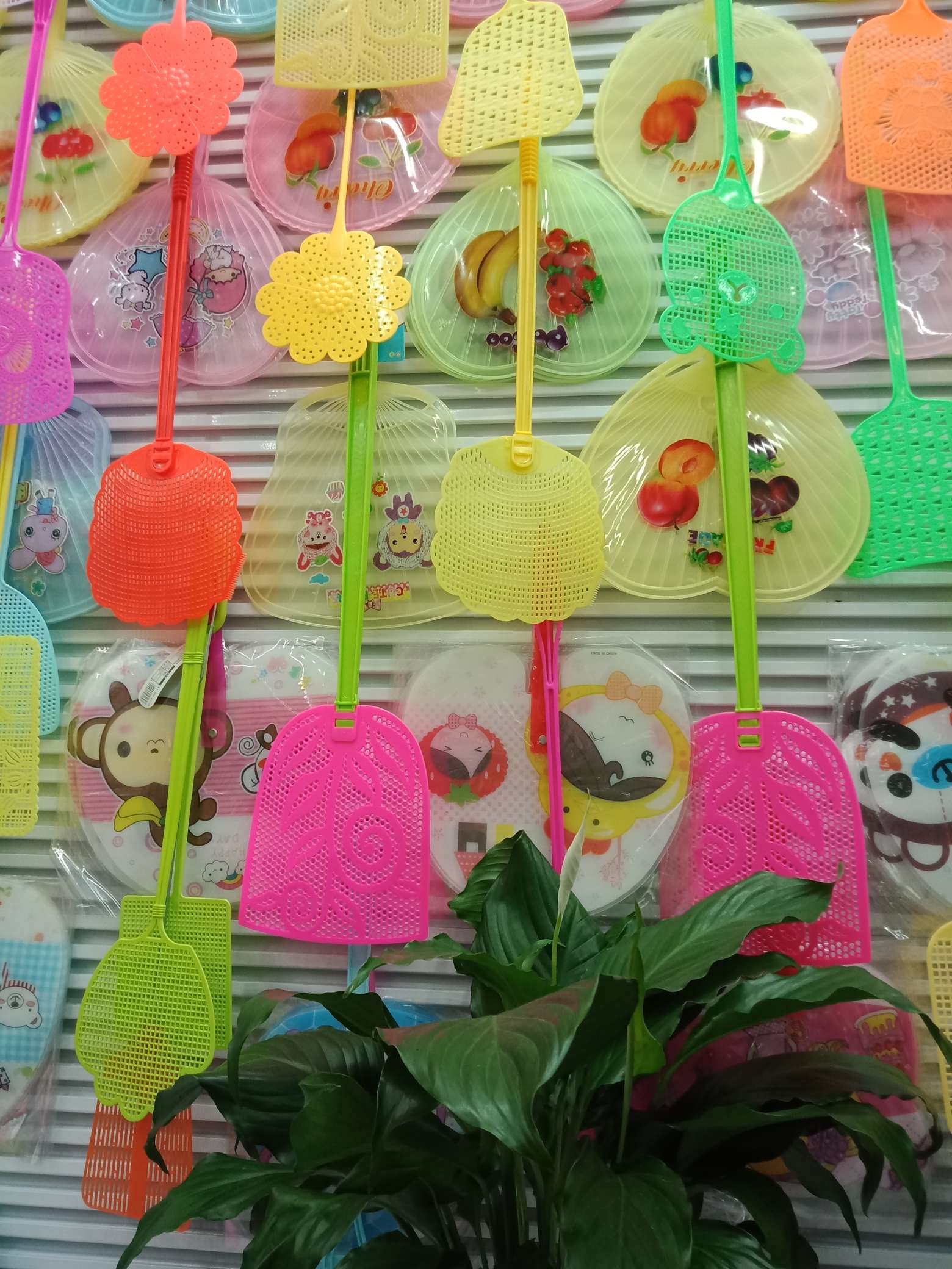 扇子白底实物图