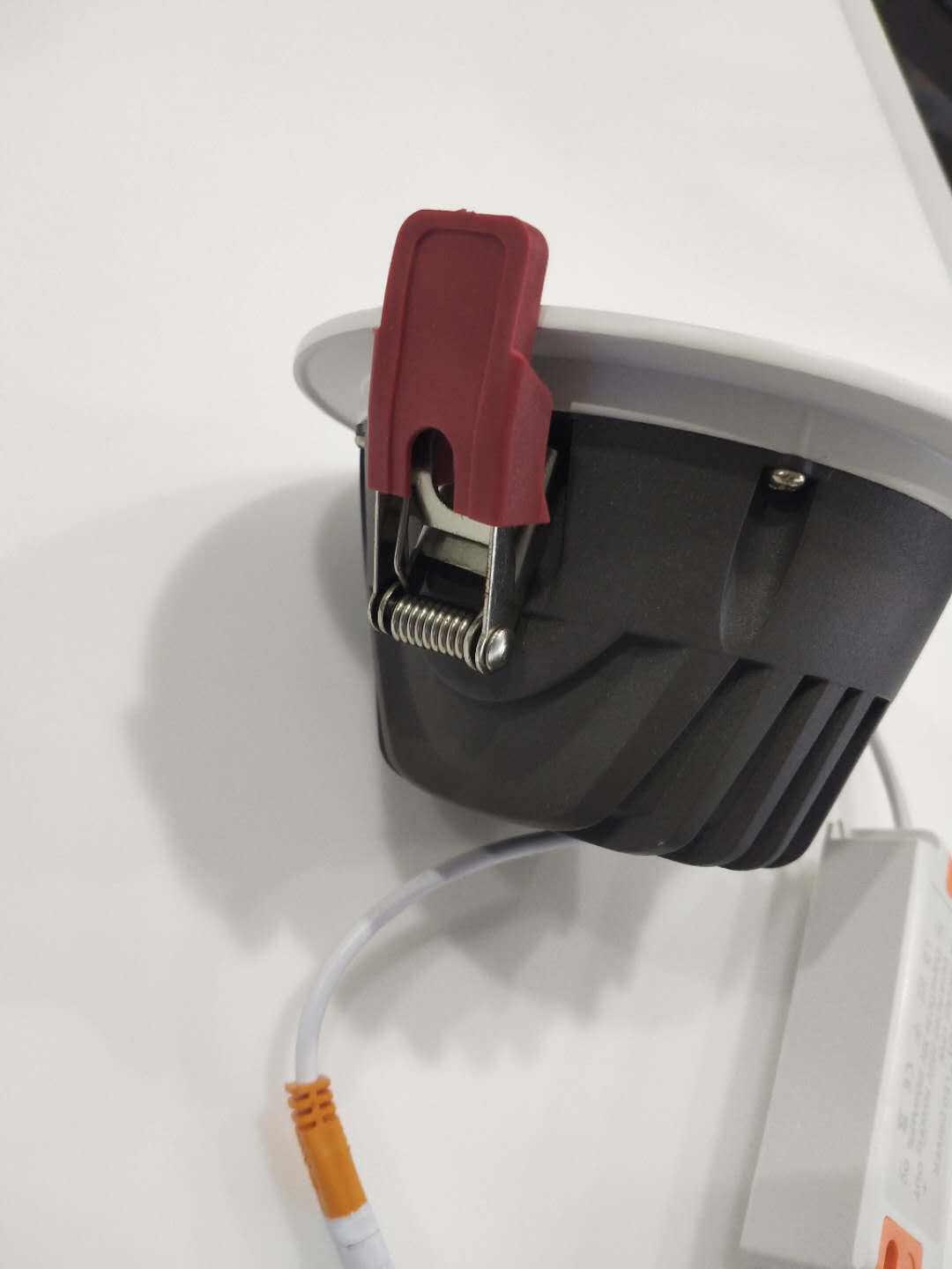 白壳白底实物图