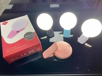 Mini light supplement for mobile phone