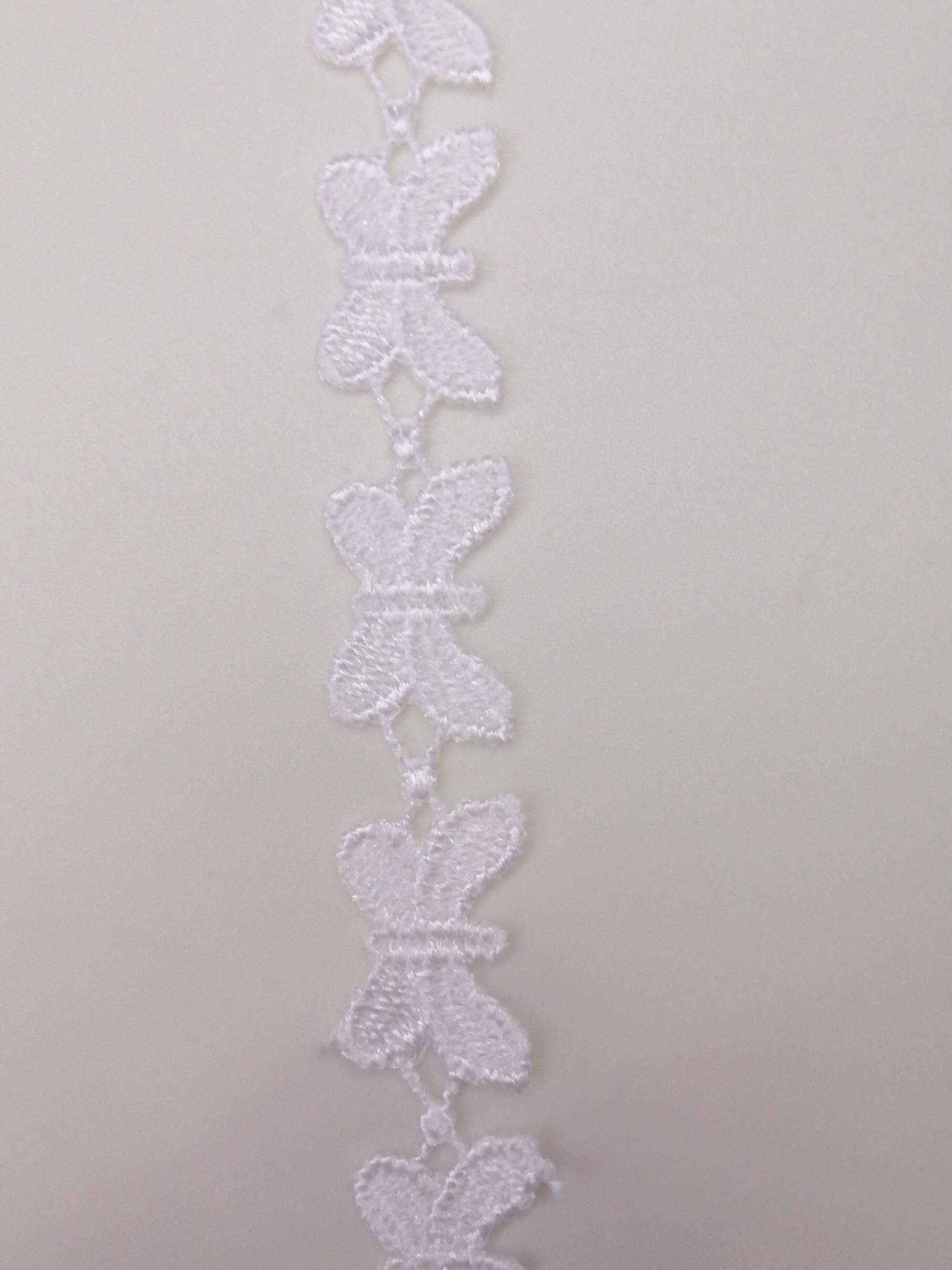 Little Butterfly