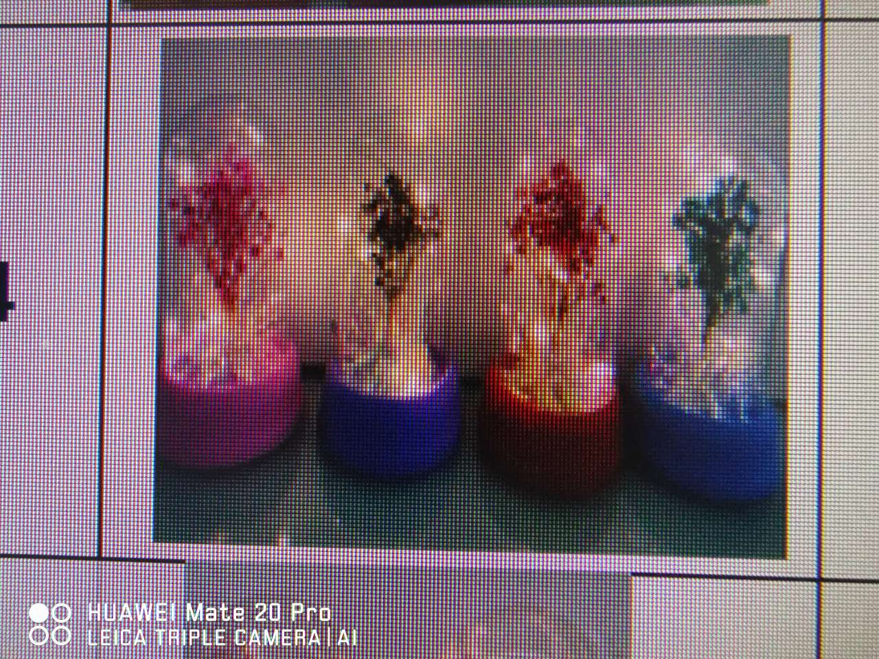 塑料罩仿真花 装饰工艺灯家居摆件装饰品 伟伟工艺 厂家直销