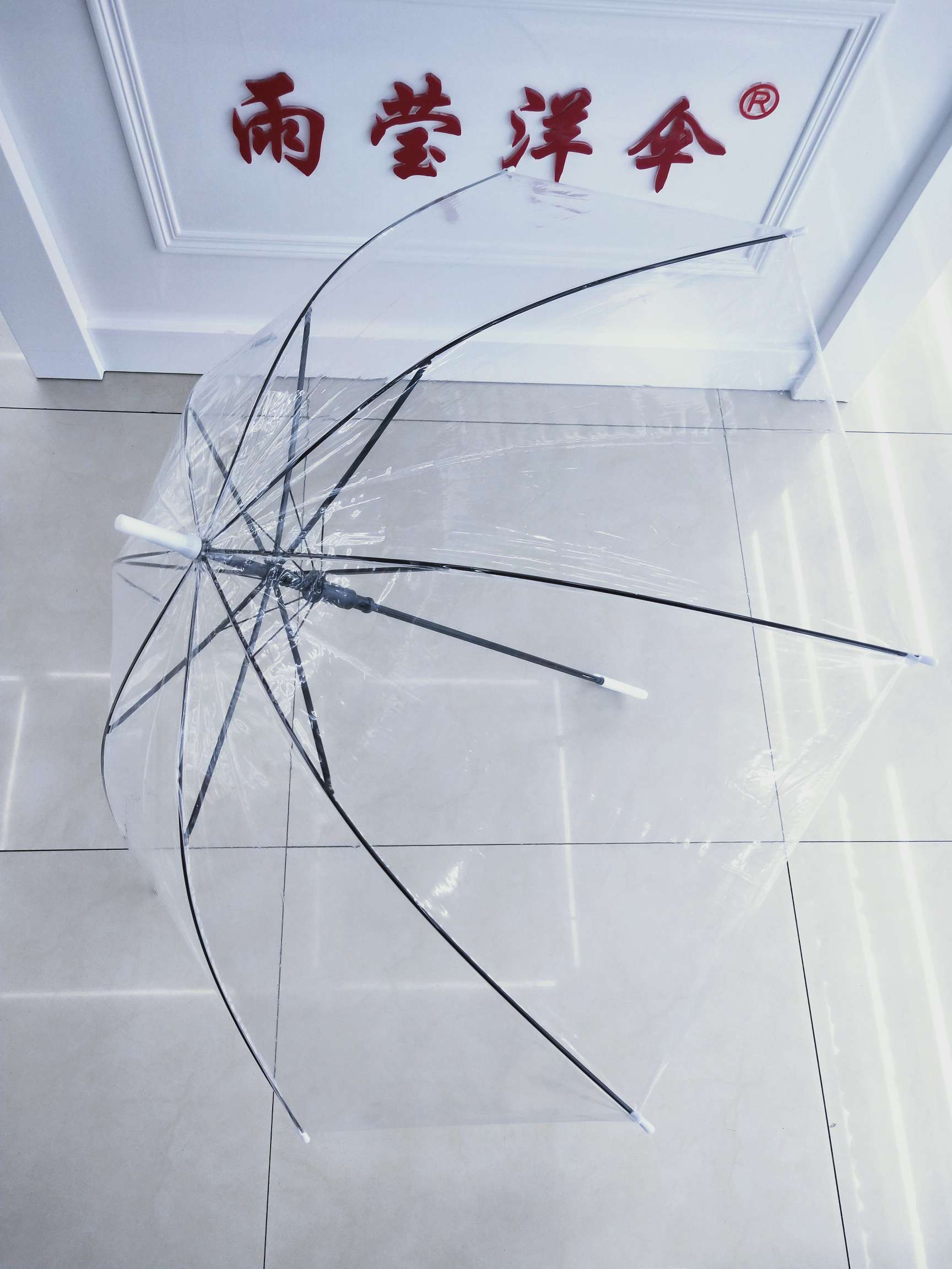 Transparent umbrella on sale thumbnail