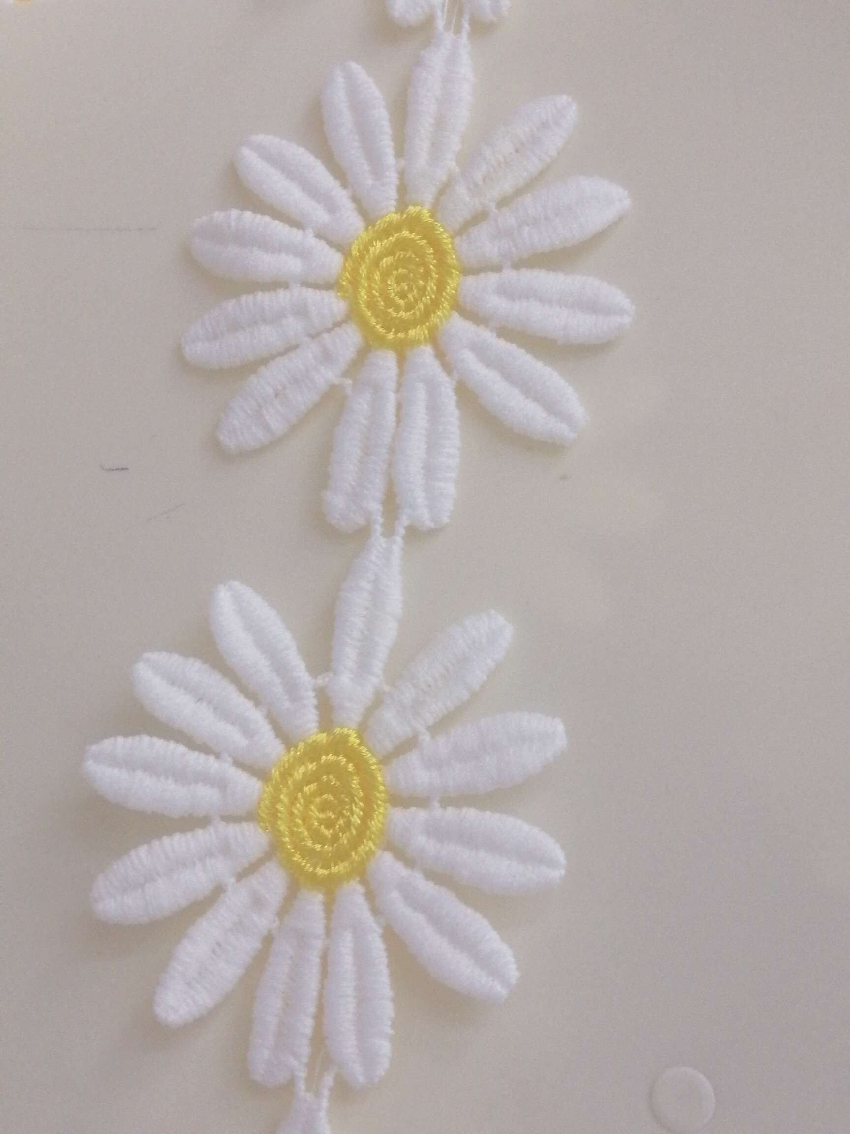 大橘花
