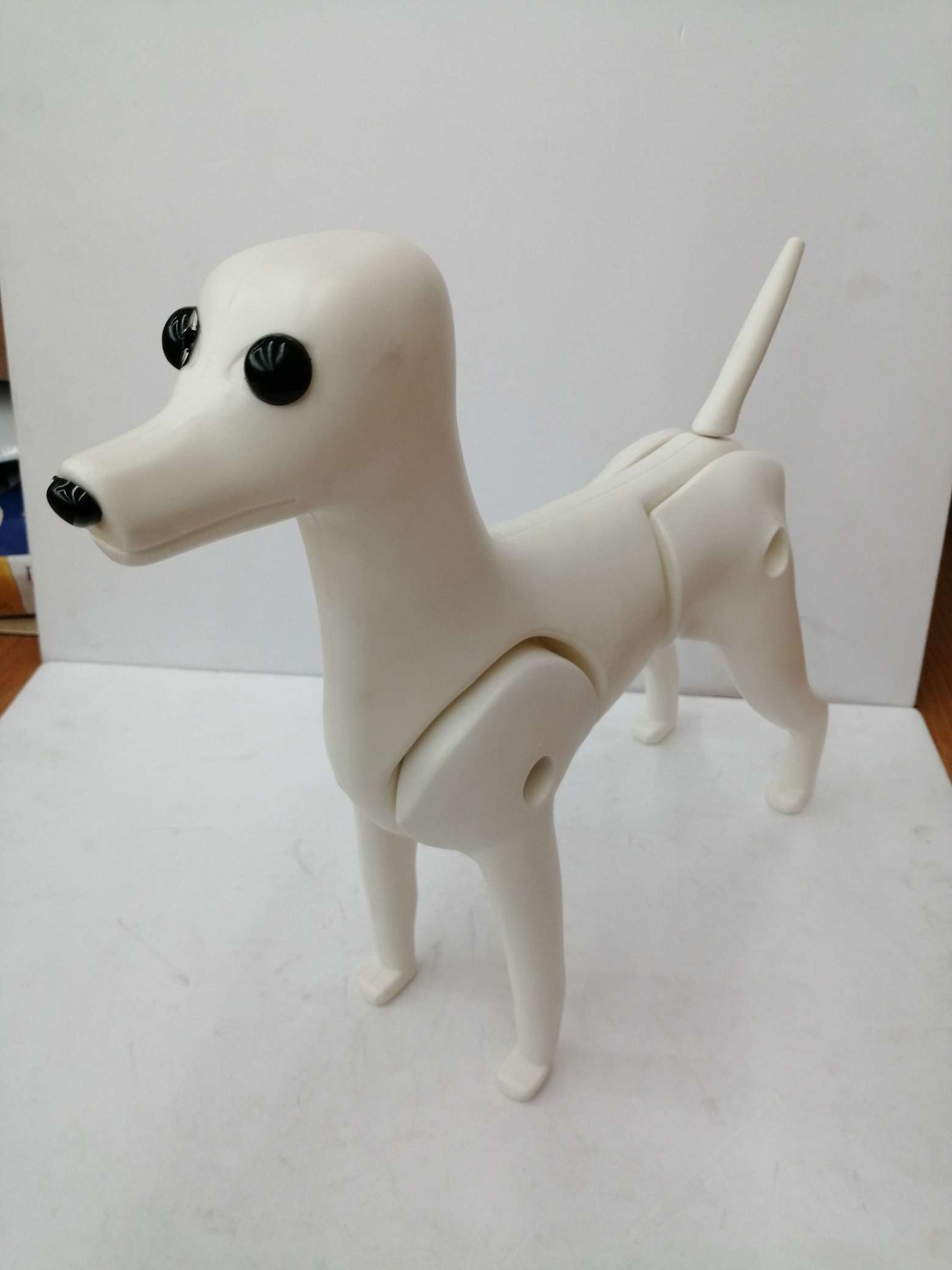 白色狗模特详情图2