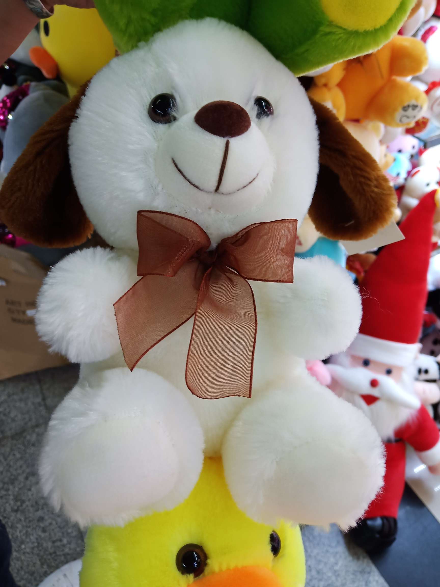 20公分蝴蝶结狗产品图