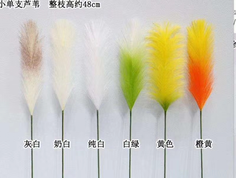 红果果细节图