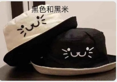 The cat is wearing fisherman's hats on both sides Specification image