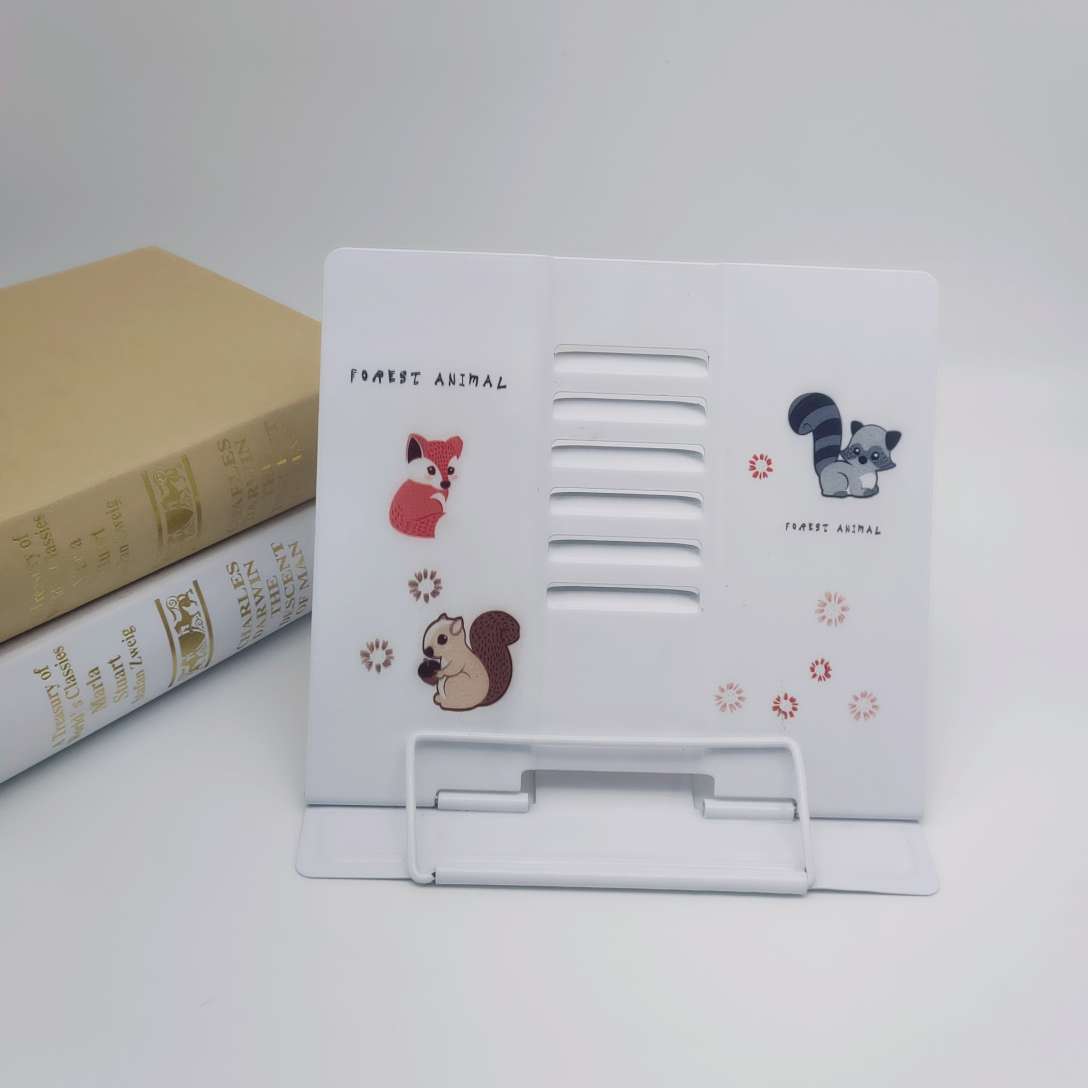 The squirrel looks at the bookshelf Specification image