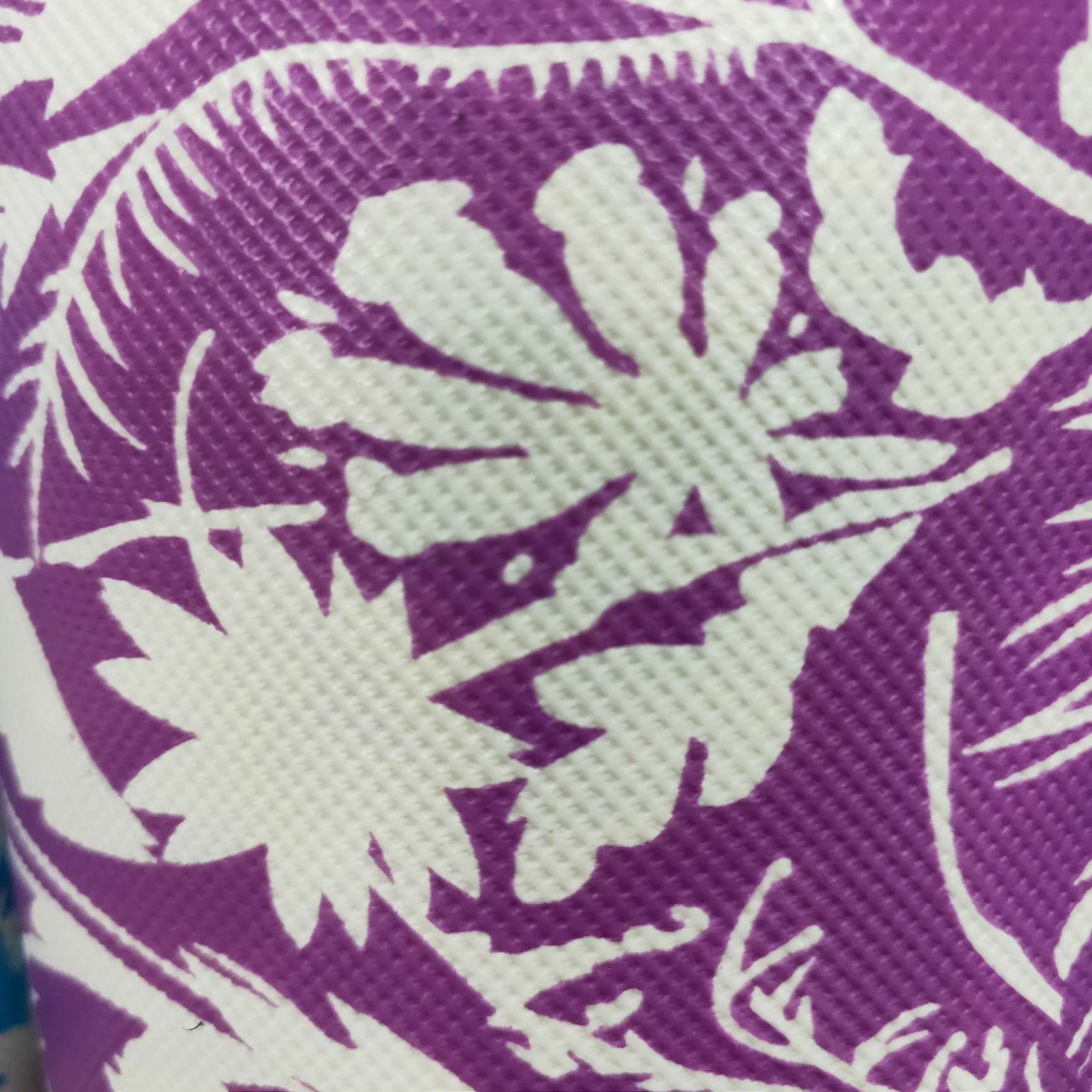 花千骨白底实物图