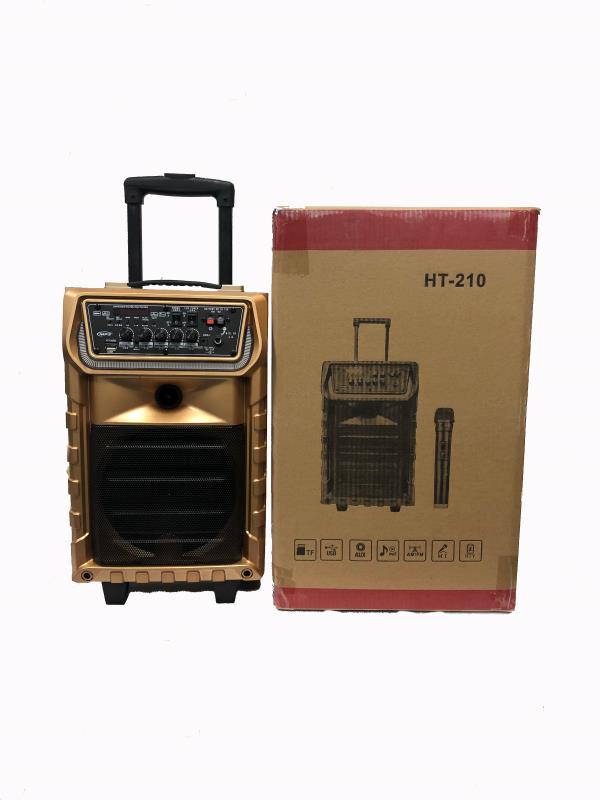 10寸拉杆木箱HT210白底实物图