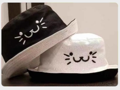 The cat is wearing fisherman's hats on both sides undefined