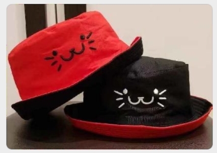 The cat is wearing fisherman's hats on both sides
