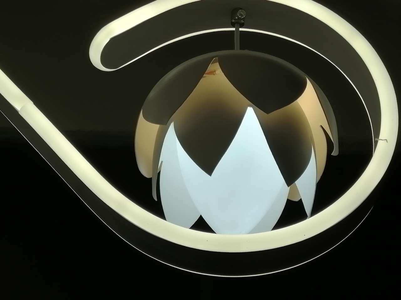 Selected elegant flower-and-bird pendant lamp 7580/2 Specification image