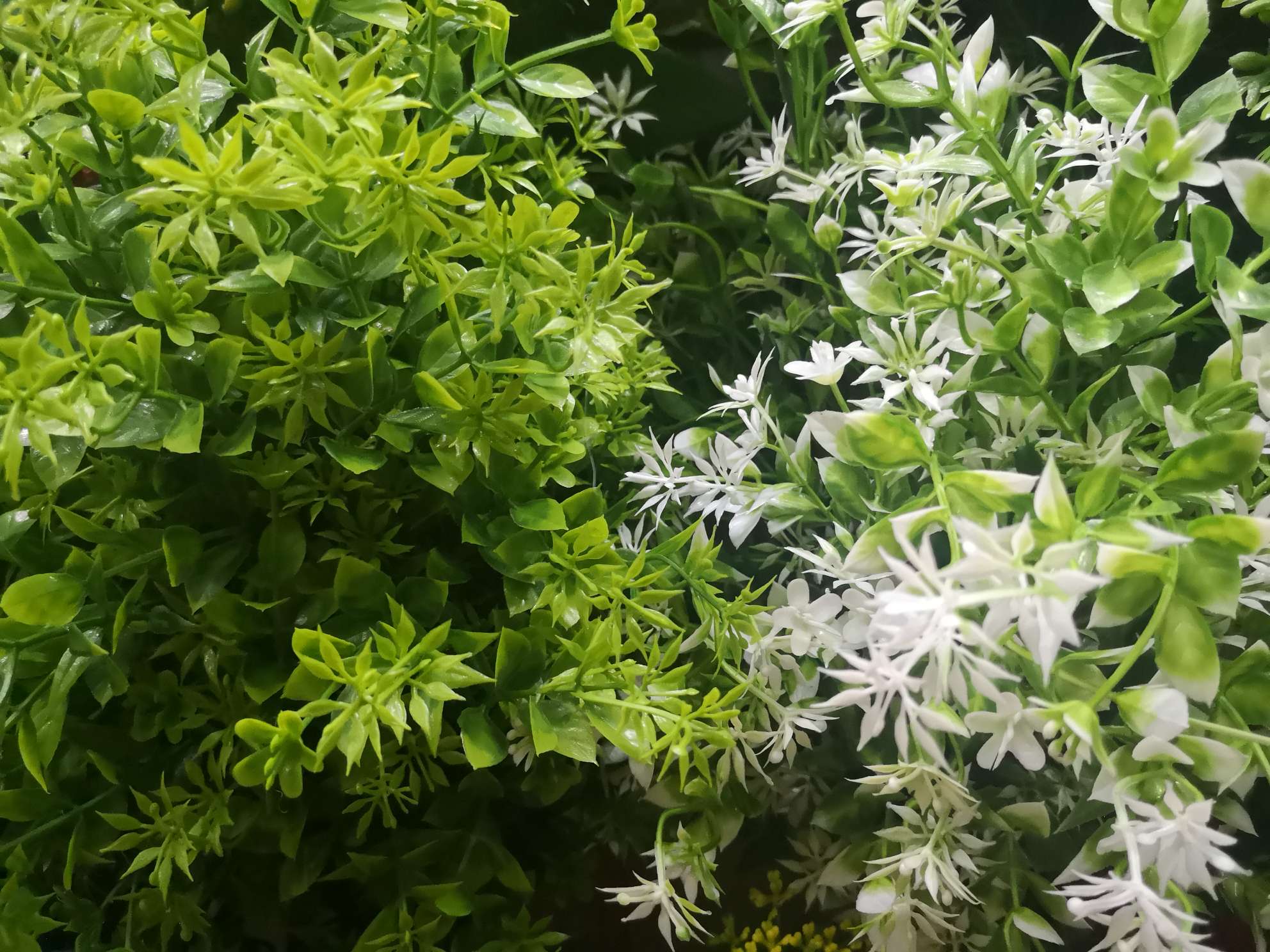 Artificial flowers for the Qingming Festival, plastic magnolia vine decoration, home interior decoration, never-fading artificial flower bouquets Application Scenario