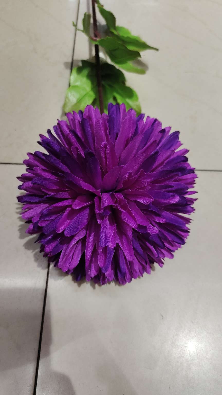 单支小葱球产品图