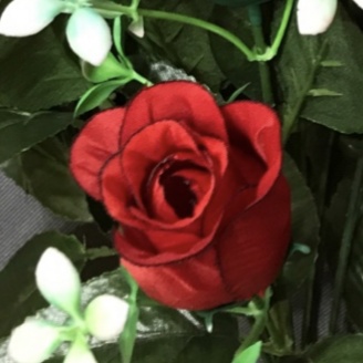 仿真花/蝴蝶兰仿真花/仿真花瓣/干花摆设/仿真花剑兰细节图