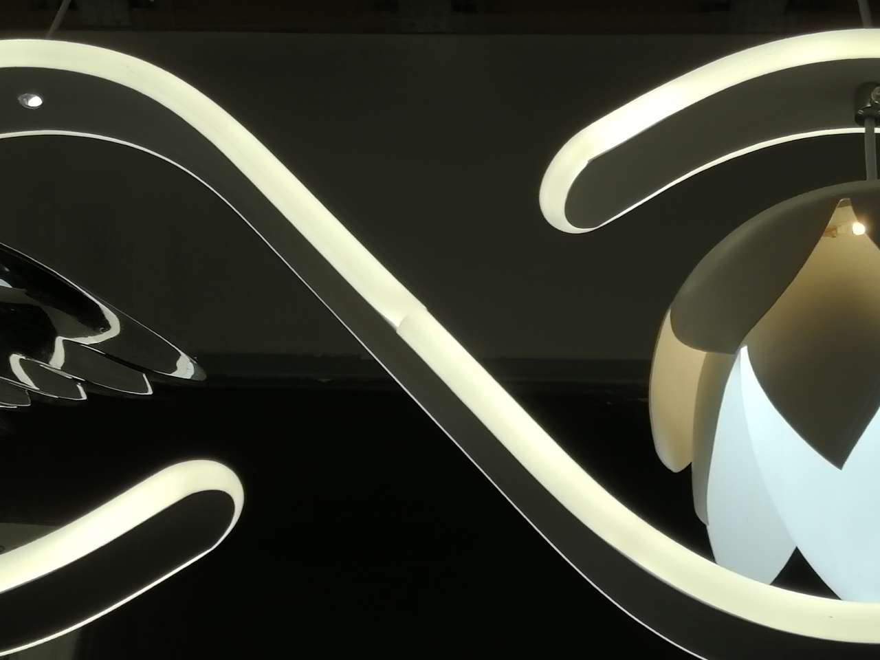 Selected elegant flower-and-bird pendant lamp 7580/2 details Picture