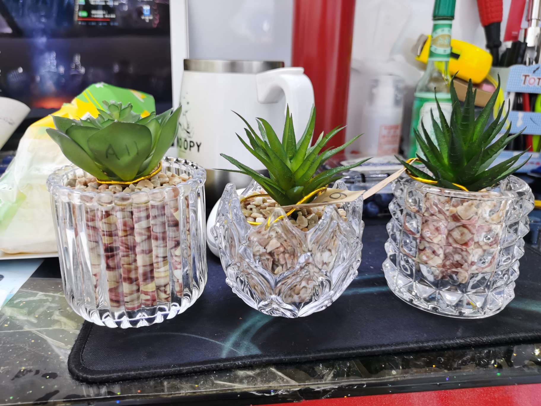 Glass succulent plant