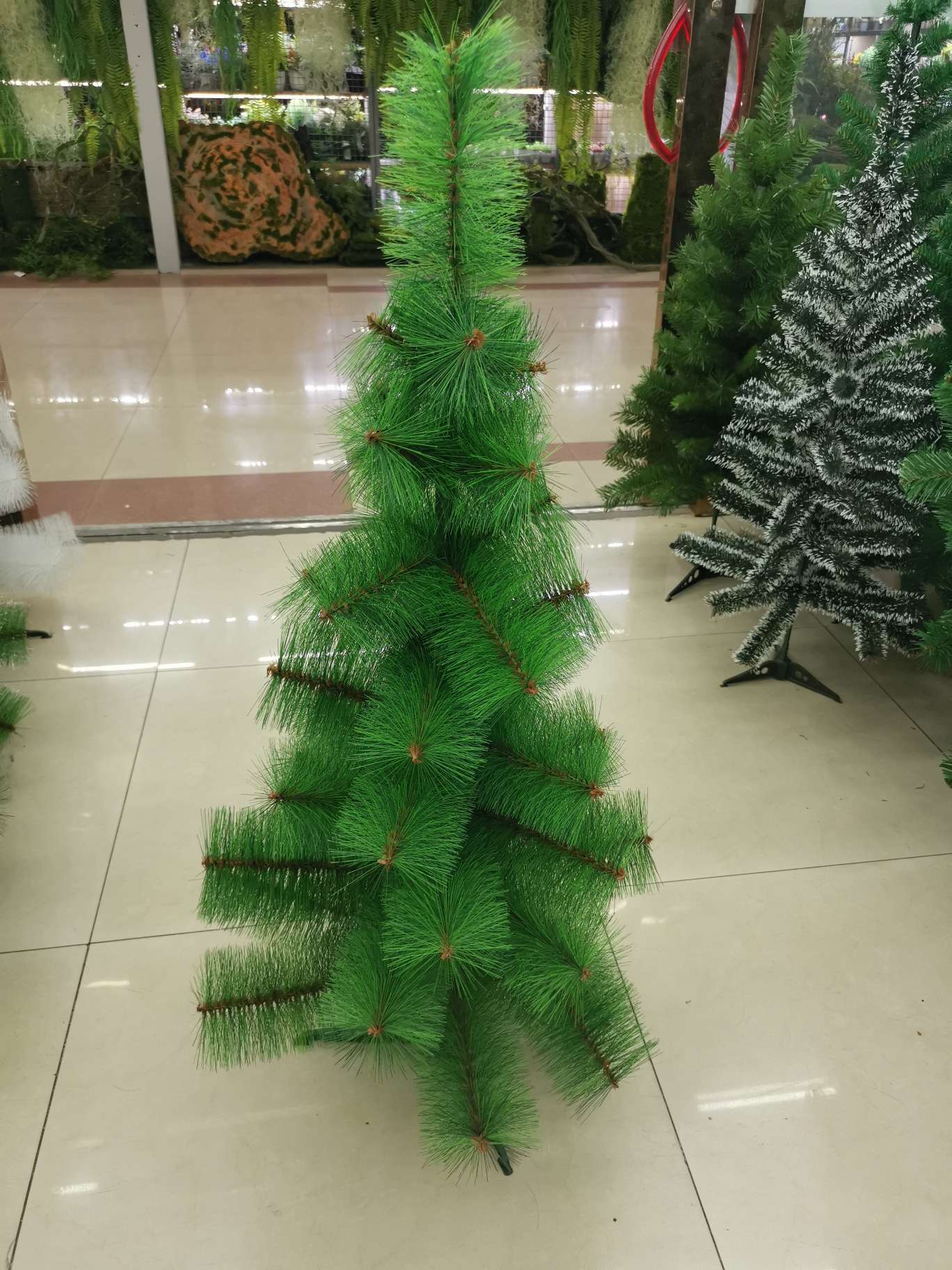 普通松针树90公分