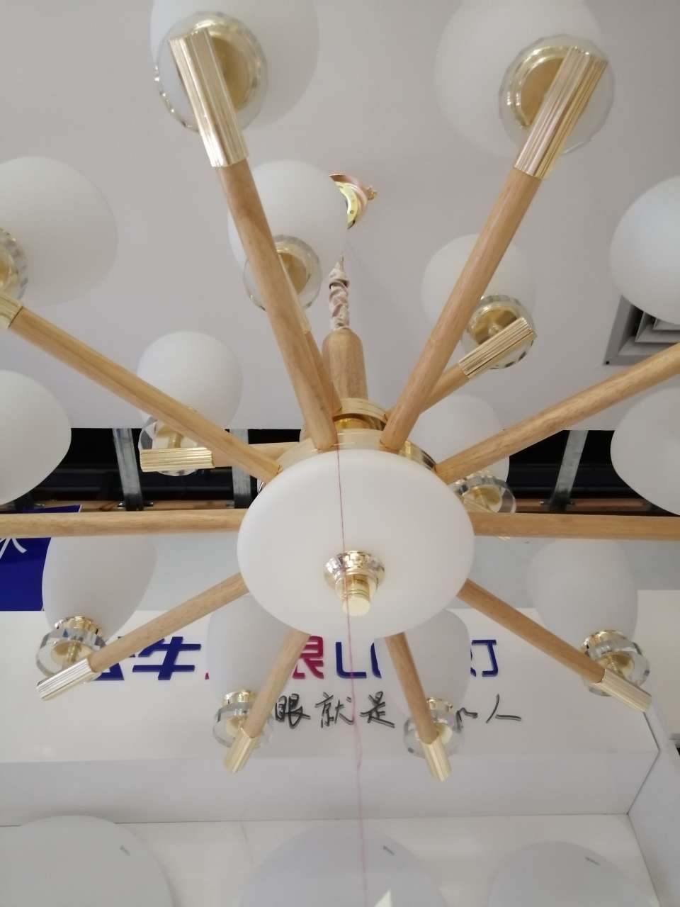 Selected elegant and exquisite flower-shaped living room and bedroom lamp 0081 details Picture