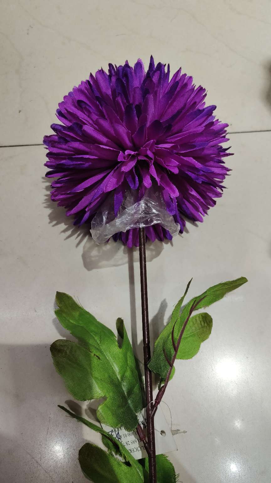 单支小葱球细节图