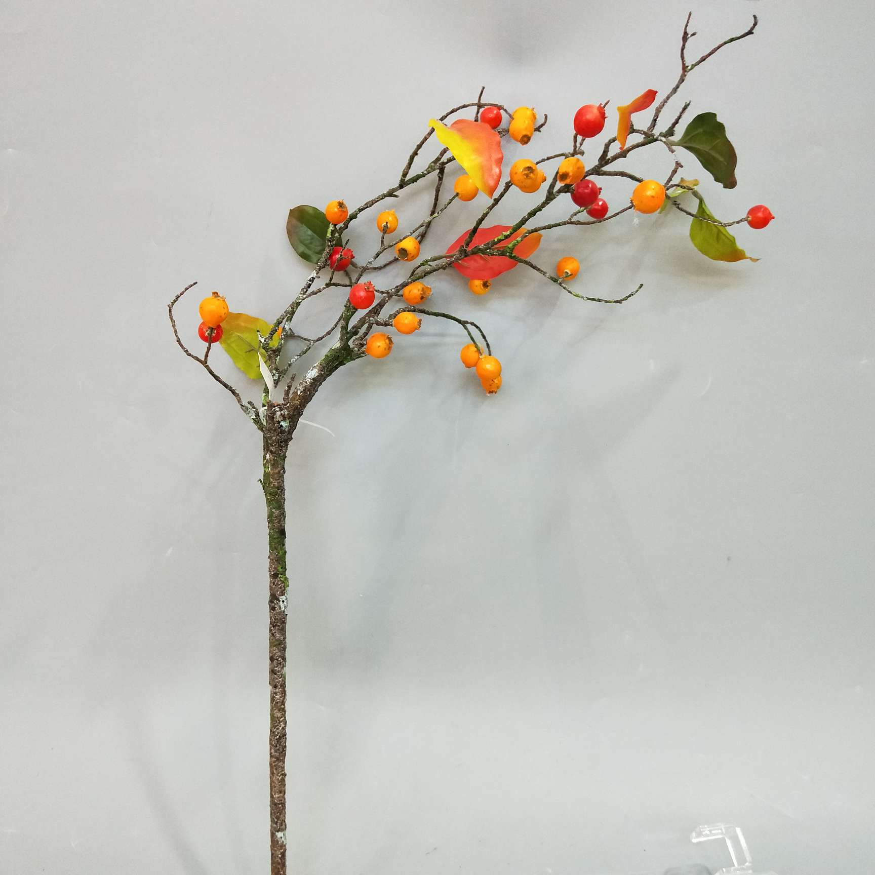 厂家直销带叶沙棘垂枝造景工程装饰均可使用