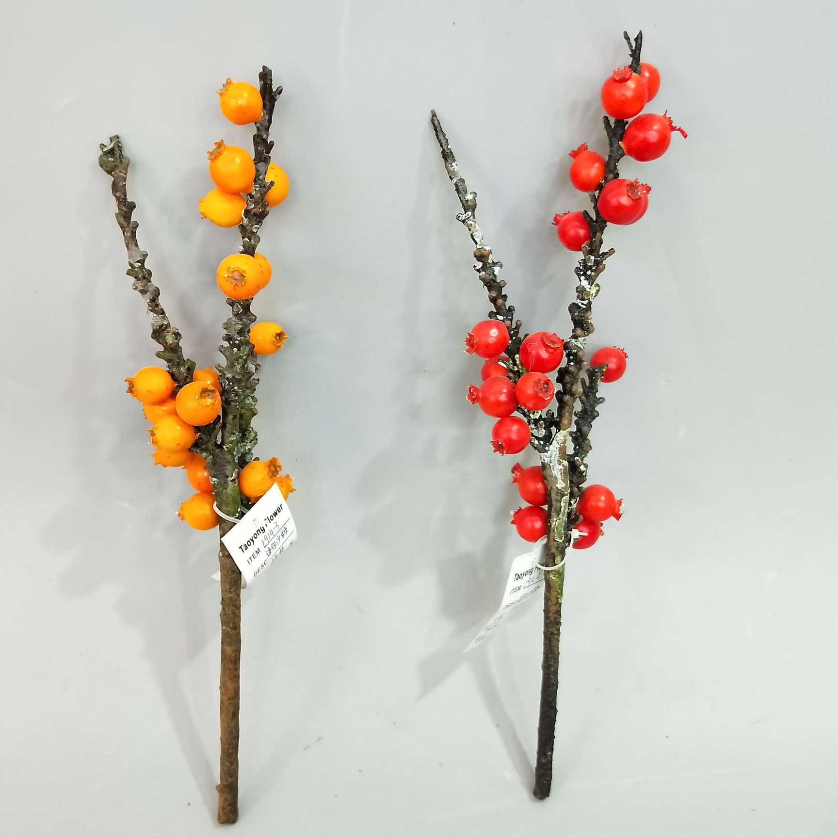 厂家直销迷你沙棘插枝造景工程装饰均可使用