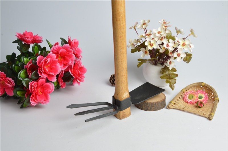 Два мотыга в саду details Picture