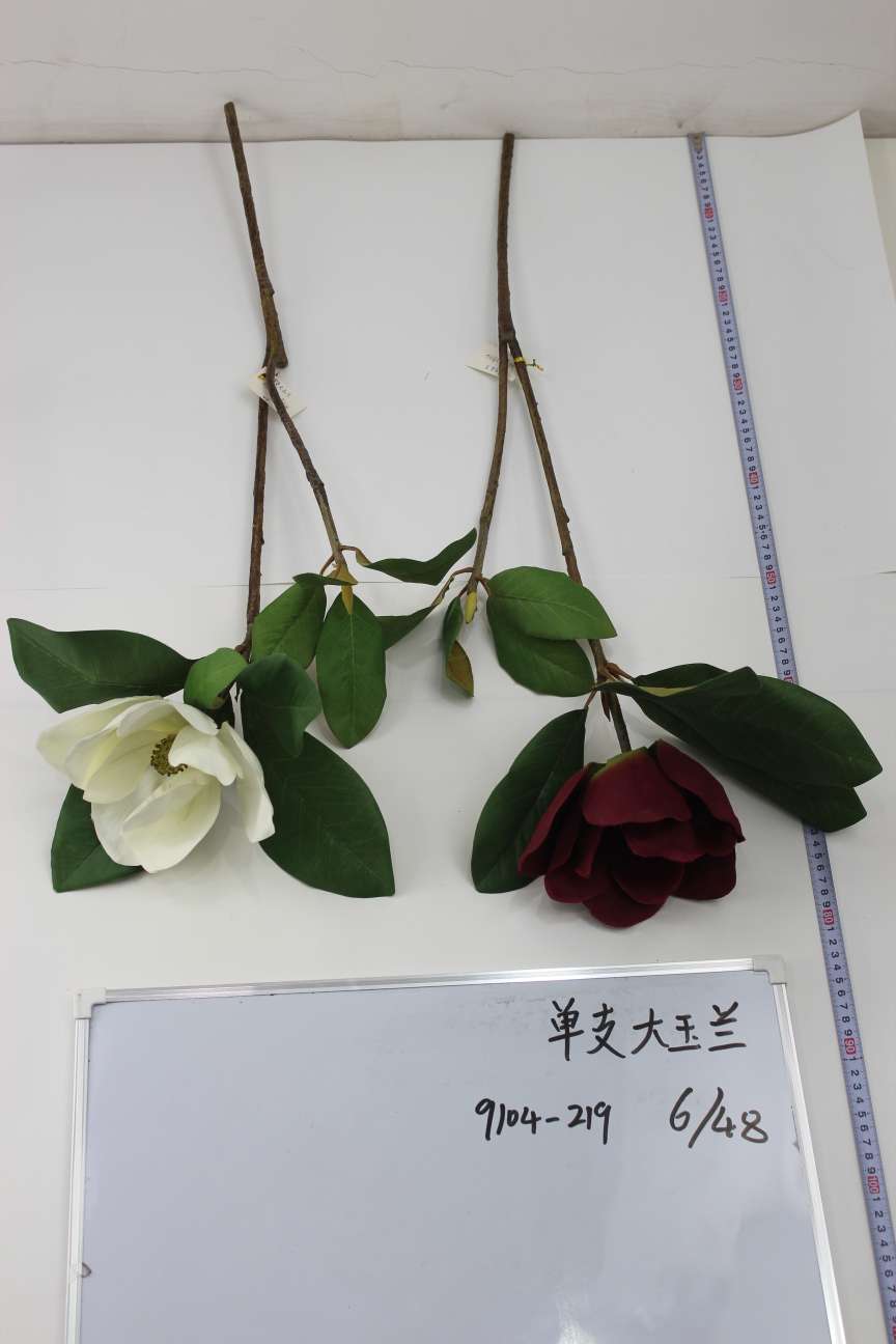 Single magnolia grandiflora thumbnail