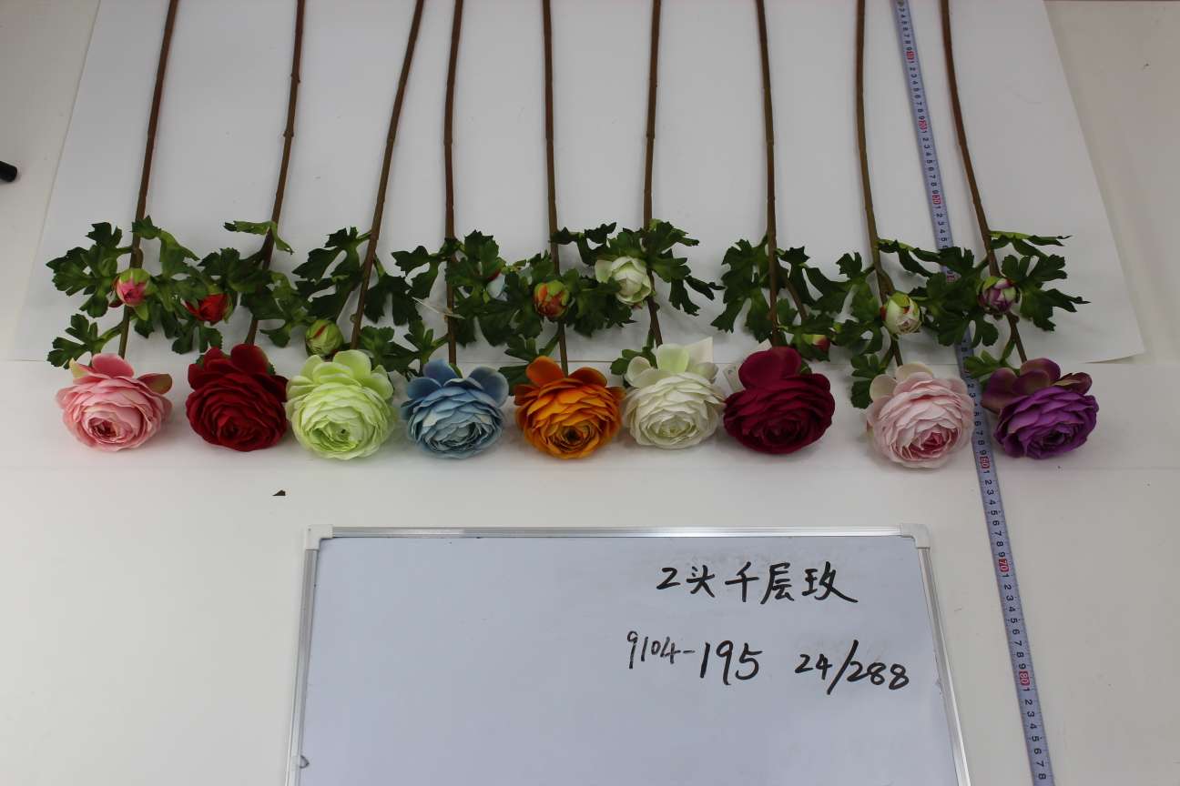 两头千层玫