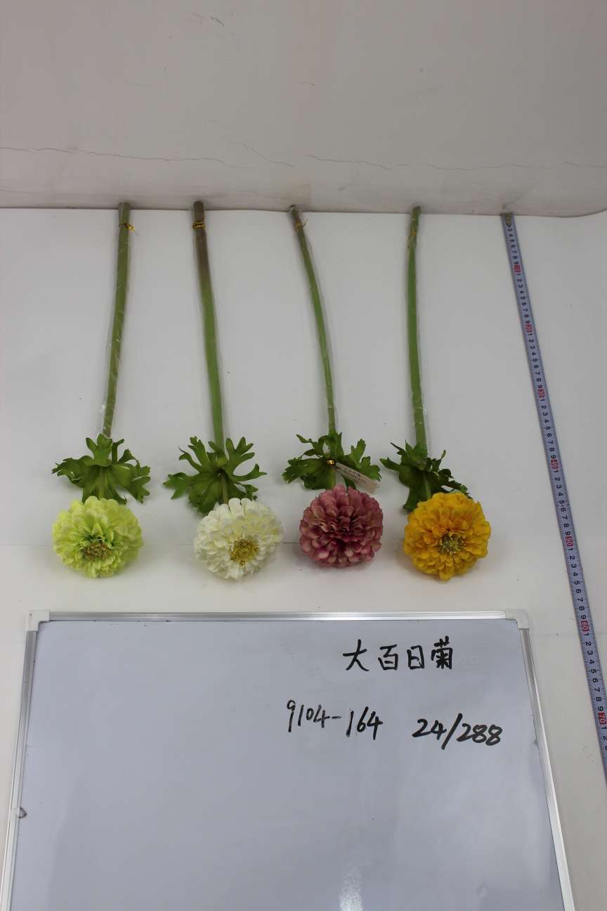One hundred days, chrysanthemum thumbnail