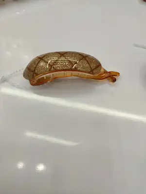 8 cm small twist clip thumbnail