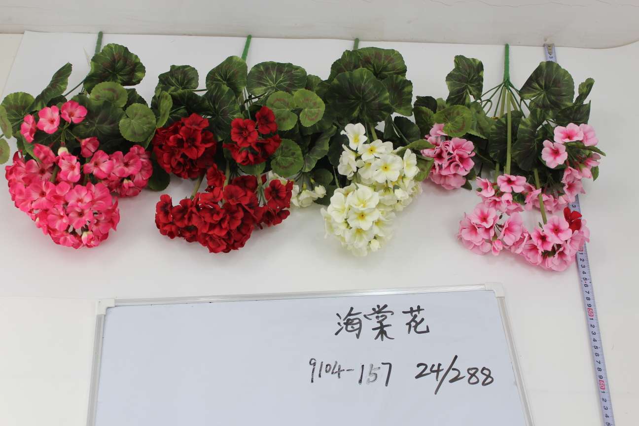 Chinese flowering crab-apple thumbnail
