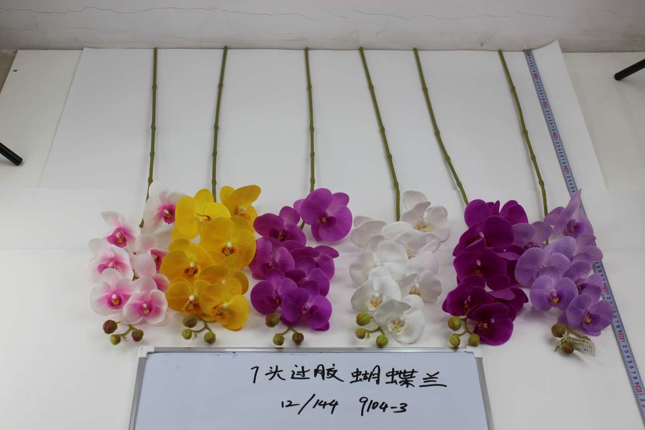 Manufacturers direct seven over phalaenopsis thumbnail