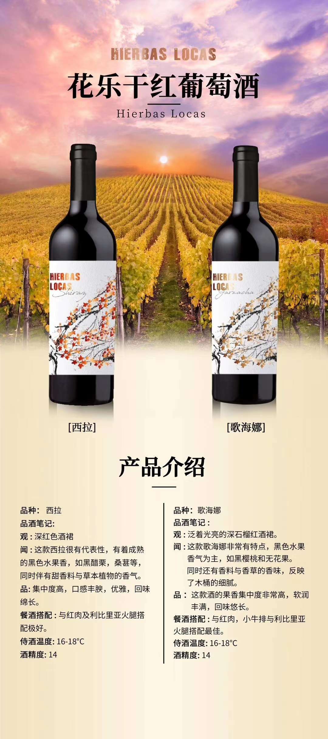 Huale Shiraz Dry Red wine, a Spanish imported red wine Specification image