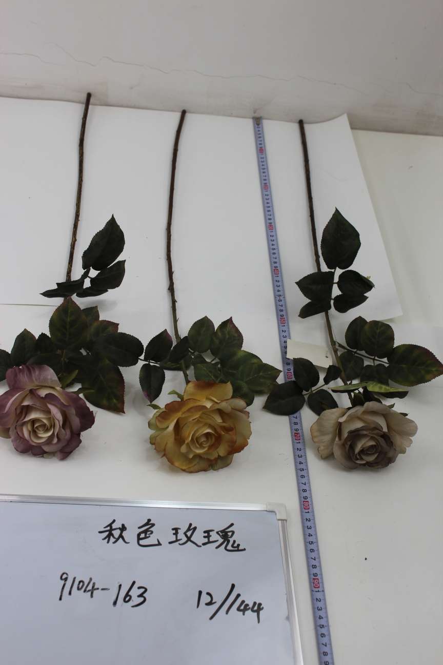 Autumn rose