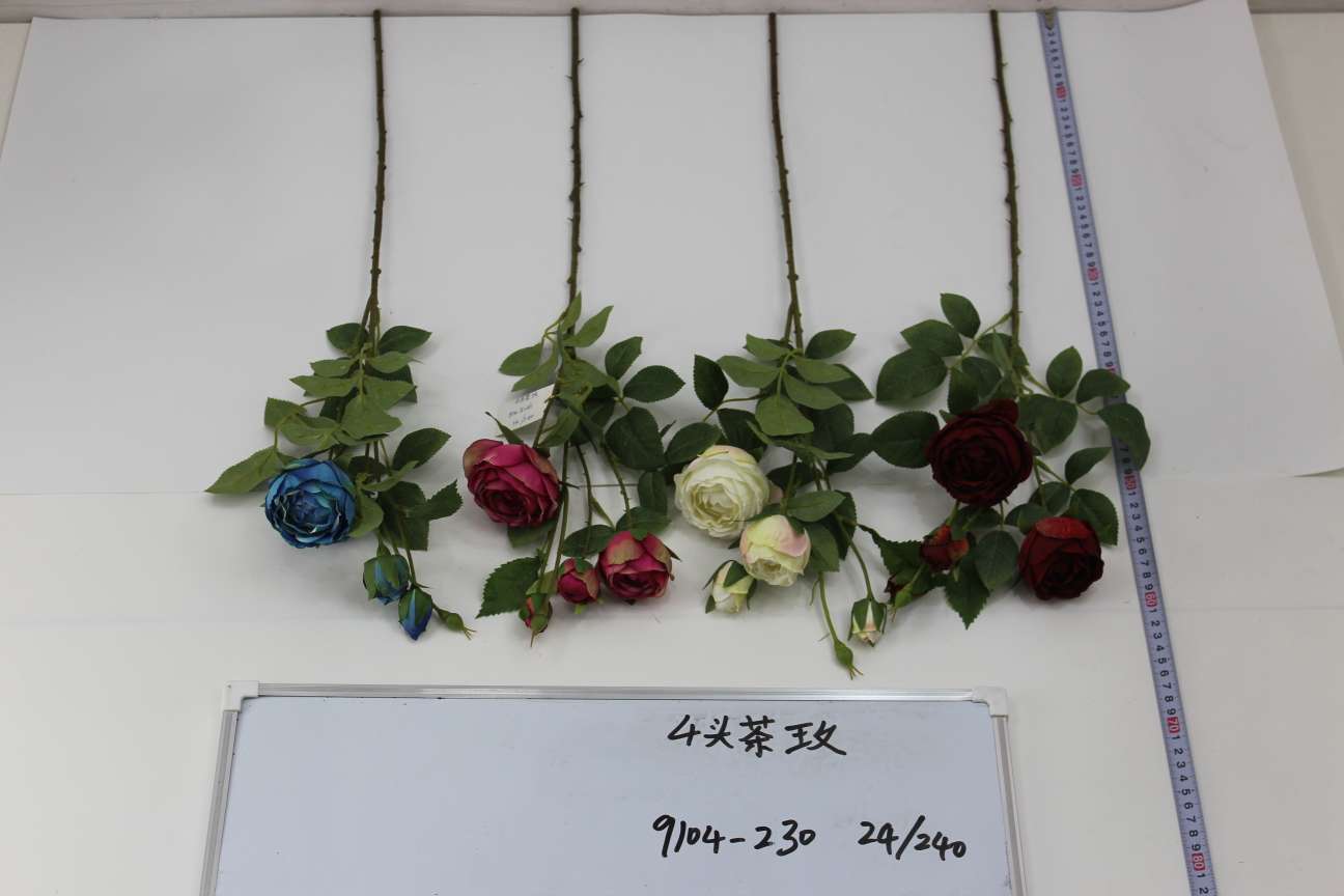 四头茶玫