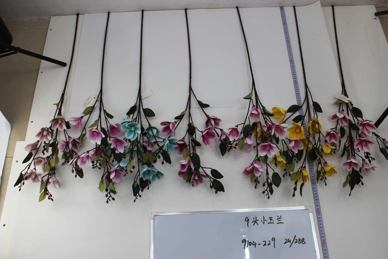 Nine-headed magnolia grandiflora thumbnail