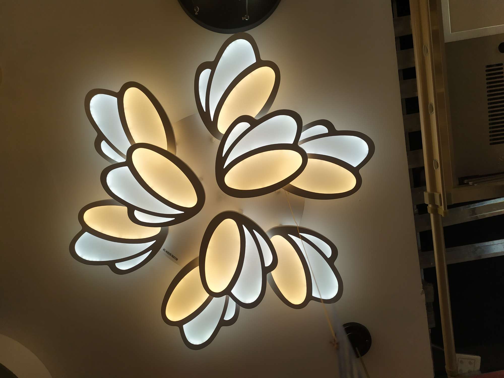 Pengxiang Tulip 6+3 thumbnail