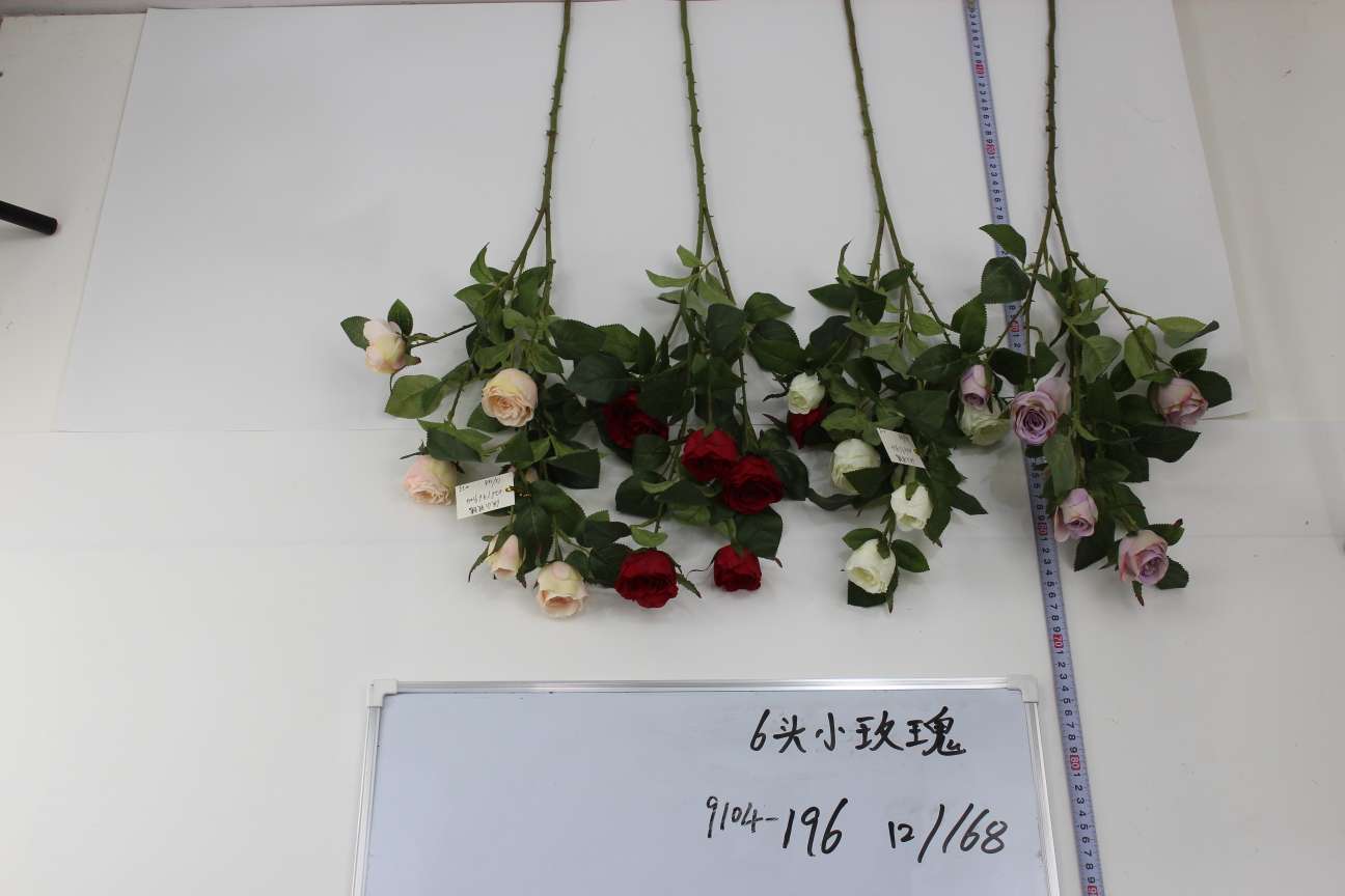 Six little roses thumbnail
