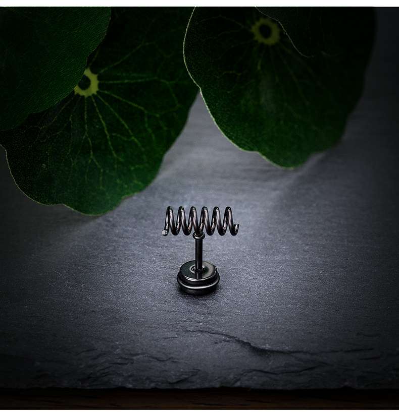 Changsheng Jewelry offers a wholesale of unique and simple titanium steel spring ear studs and other niche earrings details Picture