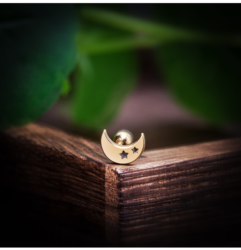 Changsheng Jewelry's fashionable titanium steel moon stud earrings and small ear bone stud earrings Item Picture