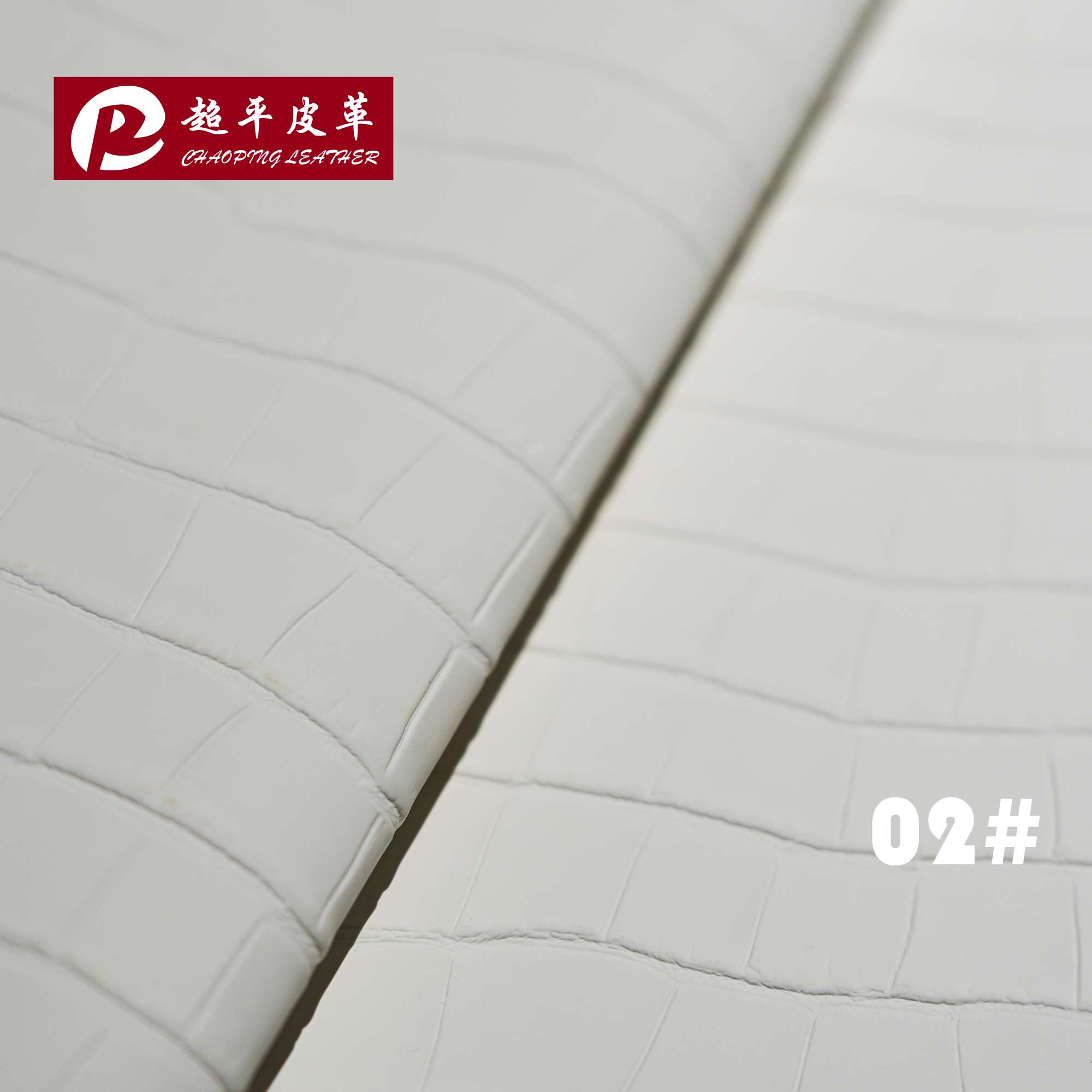 Classic crocodile pattern details Picture