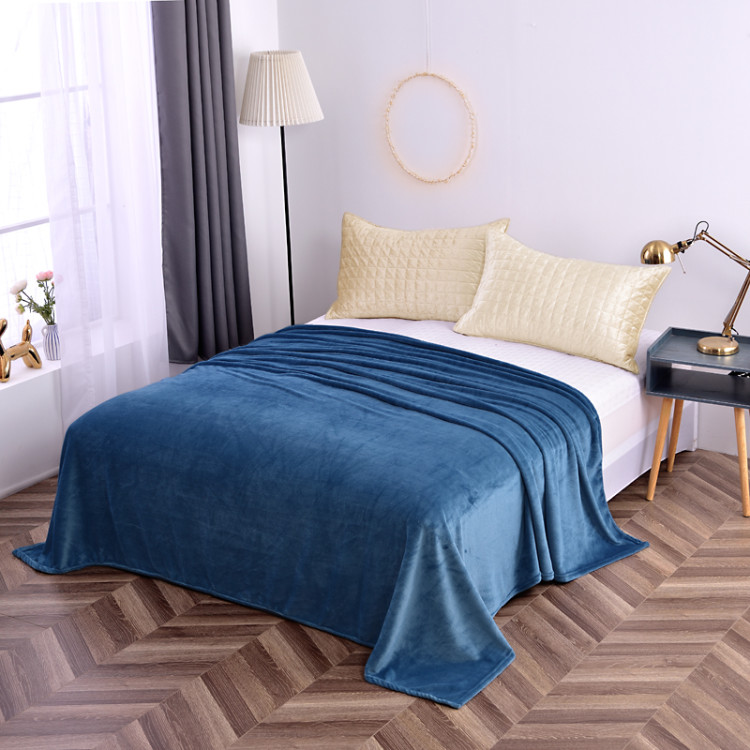 Autumn/Winter 2020 Single And Double Human Plain Fleece Warm Blanket! undefined