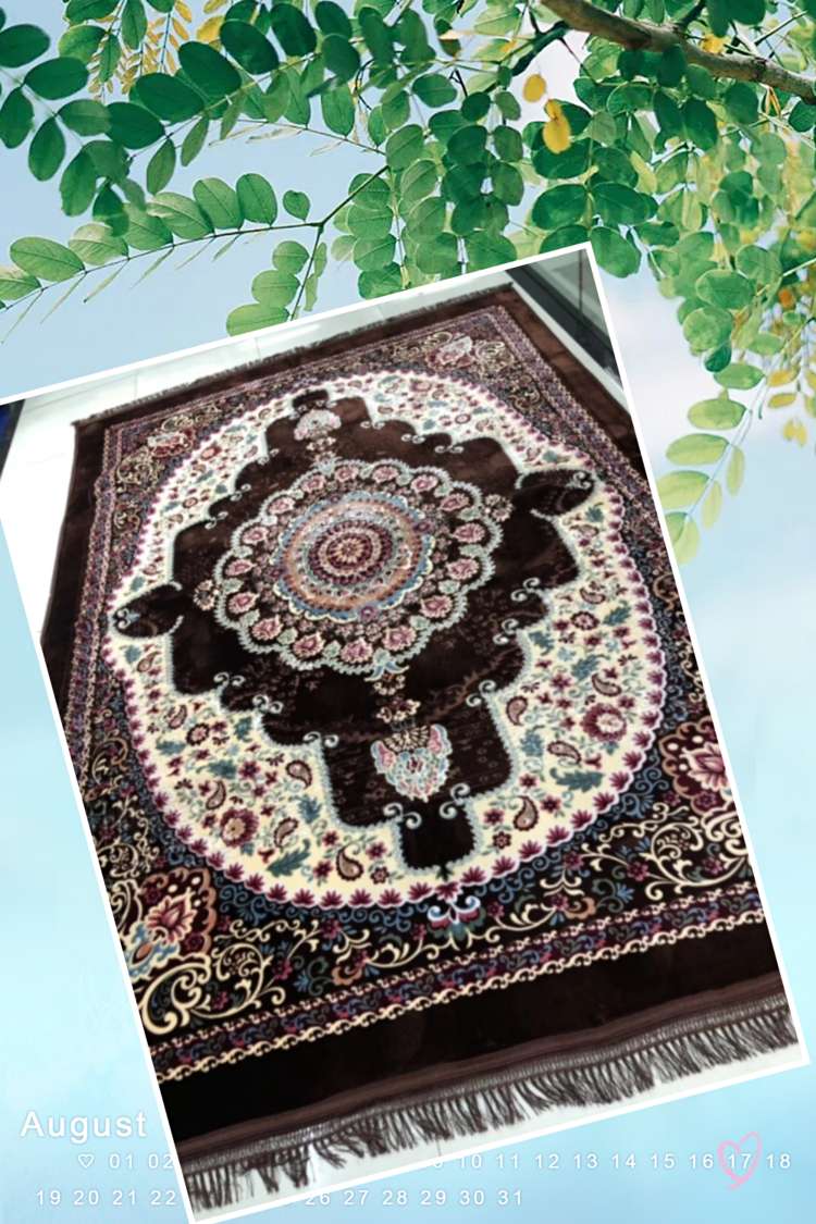 Carpet 7 undefined
