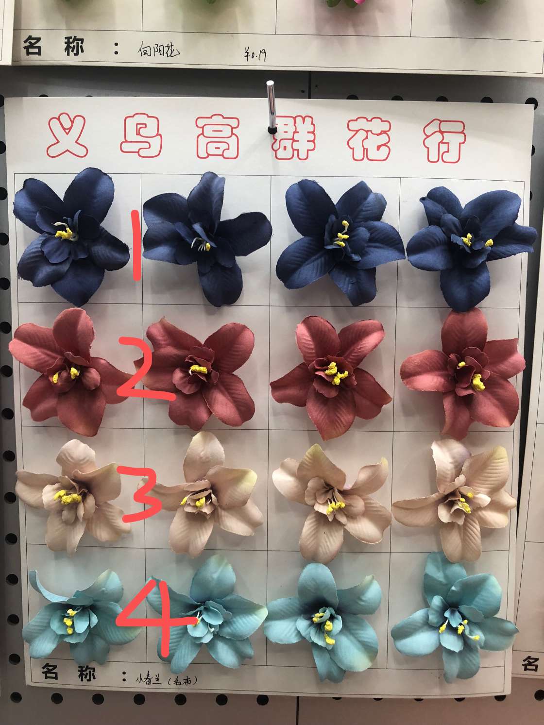 绒布小春兰