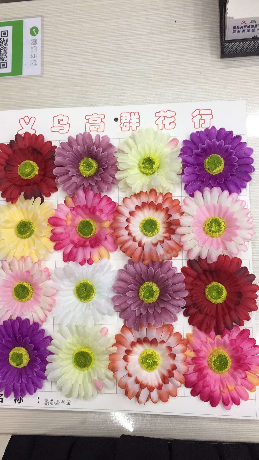 高芯金丝菊