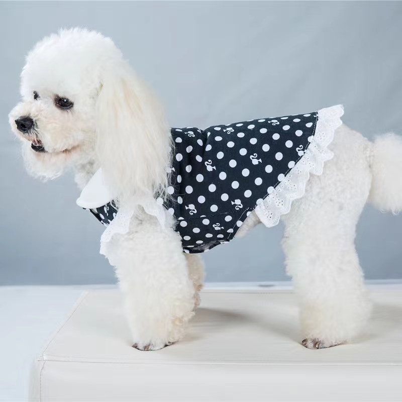 New autumn clothes are on the shelves! Polka dot student clothes, pet babies have such beautiful clothes, wearing comfortable looking new fashion!