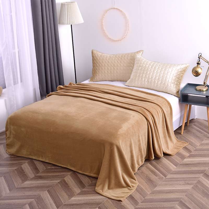 Autumn/Winter 2020 Single And Double Human Plain Fleece Warm Blanket! details Picture